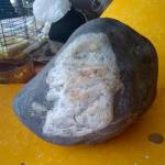 Do you see it? Found rock resembles image of George Washington