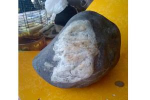 Do you see it? Found rock resembles image of George Washington