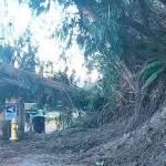 South Whidbey homes deemed safe following landslide