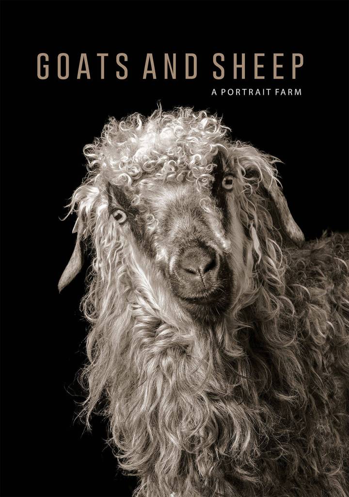 Published by 5 Continents Editions, the 128-page hard cover book sells for $35.