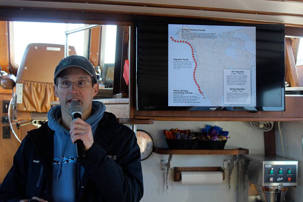 Naturalist Bart Rulon shows the migration map of gray whales in a cabin presentation. (Photo by Patricia Guthrie/Whidbey News Group)
