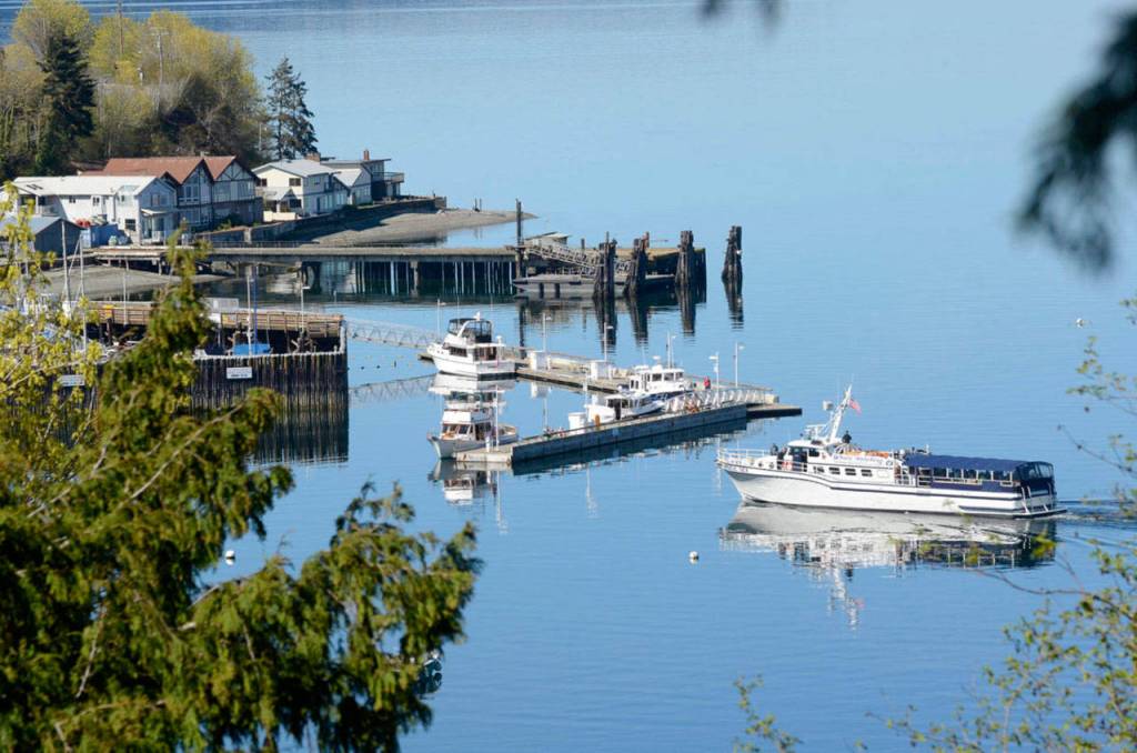 In a file photo, Mystic Sea returns to South Whidbey Harbor after another afternoon taking visitors out to see magnificent gray whales known as the Sounders. Mystic Sea Charters turned its Langley-based tours over to Puget Sound Express after reaching the decision to close its business.