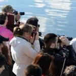 Whale tourists crowd the railings on a Mystic Sea excursion in 2014 with cameras, binoculars and phones in hand. (Photo by RJ Snowberger)
