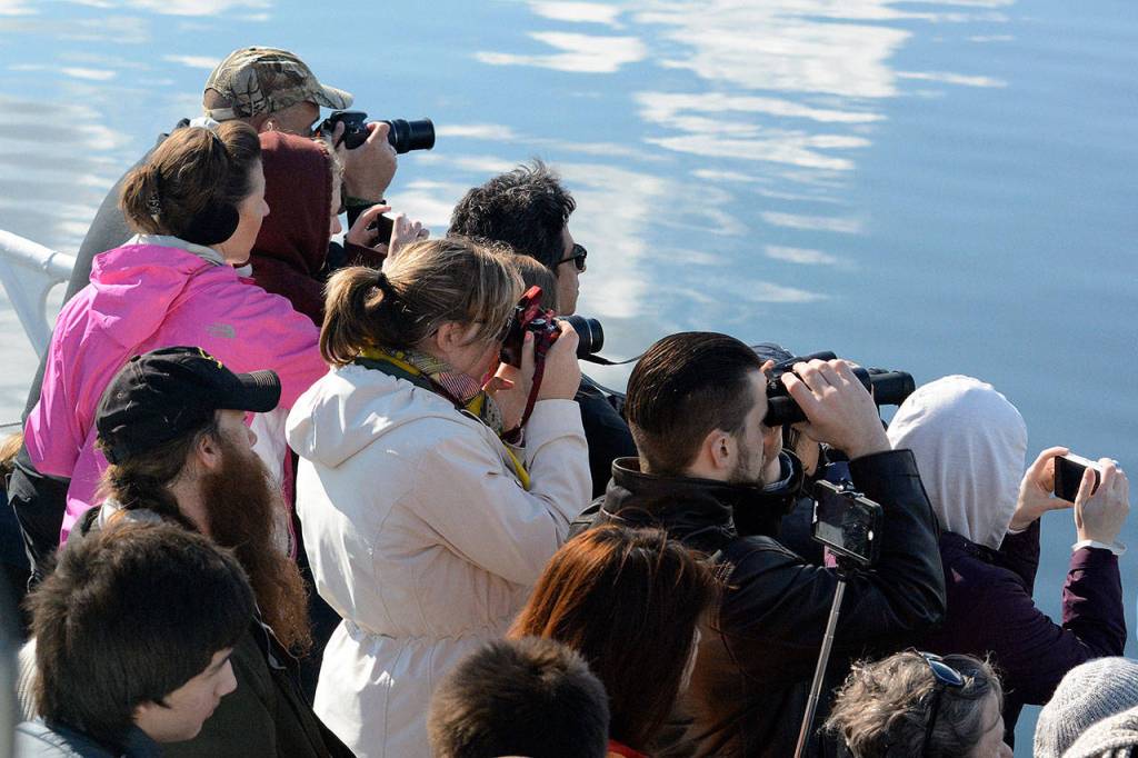 Whale tourists crowd the railings on a Mystic Sea excursion in 2014 with cameras, binoculars and phones in hand. (Photo by RJ Snowberger)