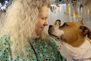 Dog grooming service rolls in on wheels