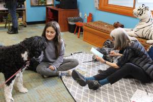 Calling all dogs to sniff out ‘Reading with Rover’