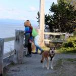 Lumi enjoys an afternoon outing at Seawall Park with his family, the Greers of Langley. Dogs were allowed to be off-leash at the waterfront park until the city council revoked its earlier decision. Now all dogs must be on a leash at all times within Langley city limits. (Photo by Patricia Guthrie/Whidbey News Group)