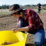 Farming family brings flowers to Greenbank Farm