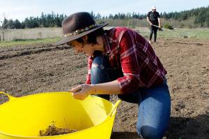 Farming family brings flowers to Greenbank Farm