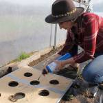 Tonneli uses fire to burn holes in tarp that allow for young plants to sprout without weed growth. The burning process seals the edges of the holes, making it a quick and uniform way to grow the plants.