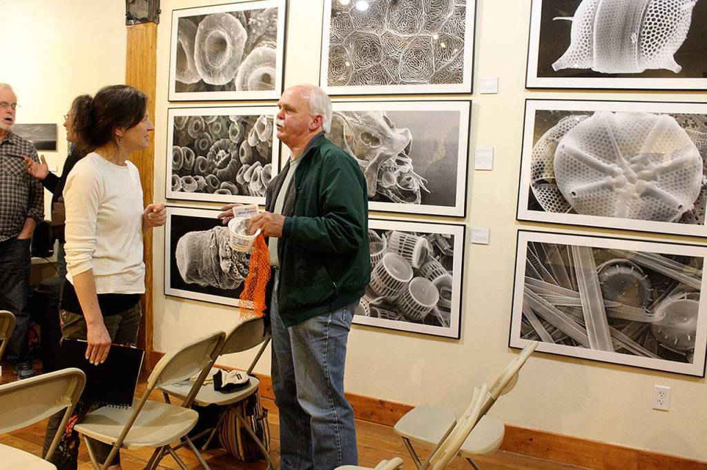 Carla Stehrs photos are on display at the Bayview Cash Store Front Room Gallery until April 26. (Photo by Patricia Guthrie/Whidbey News-Group)