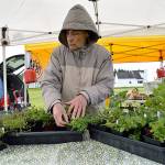 Farmers markets are gearing up for upcoming season
