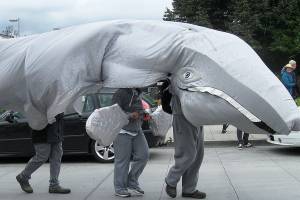 Langley celebrates whales in style