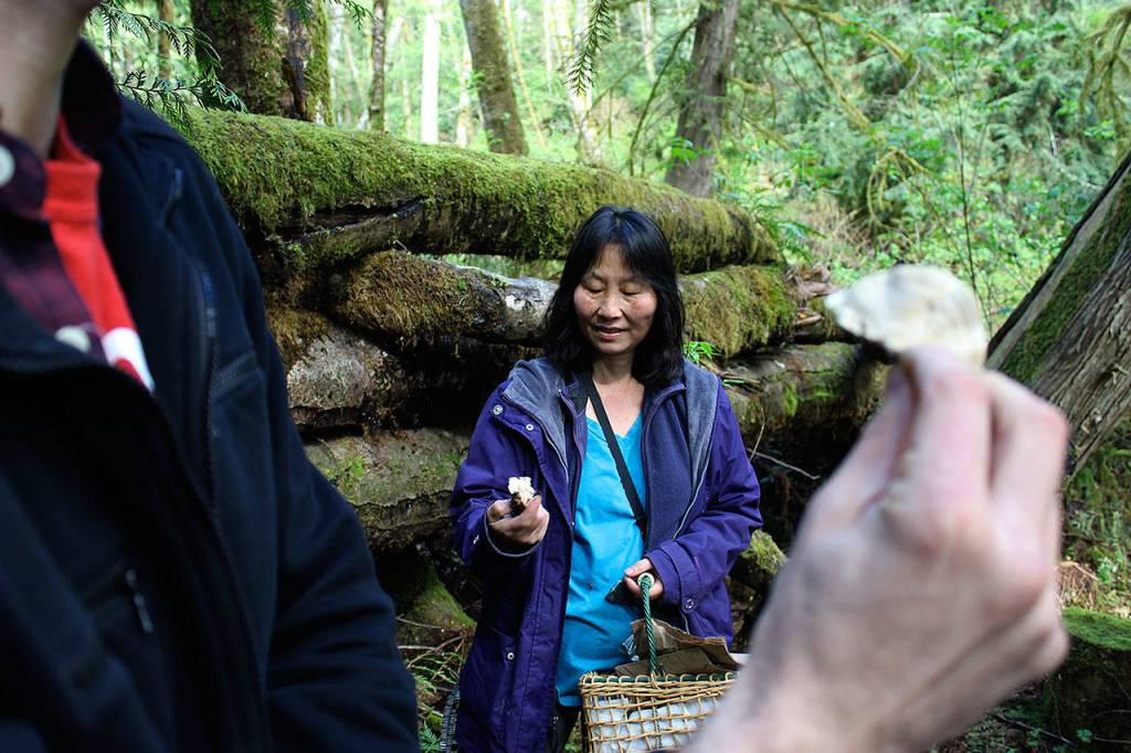 Sue LeClair holds up a mushroom for Travis Furlanic to identify during a Saturday mushroom outing. Furlanic holds the class in the spring and fall throughout the woods of Whidbey.