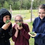 Emily Kerley, left, Baylie Kuschnereit and Clara Jurriaans enjoy Earth Day homegrown and homemade tacos. They were among a group of South Whidbey fifth and sixth graders participating in activities on Monday relating to Mother Earth. For lunch, students made fresh masa harina tortillas on the griddle and stuffed them with beans and greens grown at the South Whidbey School Farms. (Photos provided)