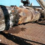 This pipe was at the end of its useful life and removed during a 2011 upgrade to Langleys sewage system. Failing pumps were also upgraded to accommodate increased flow projections. (Photo provided)