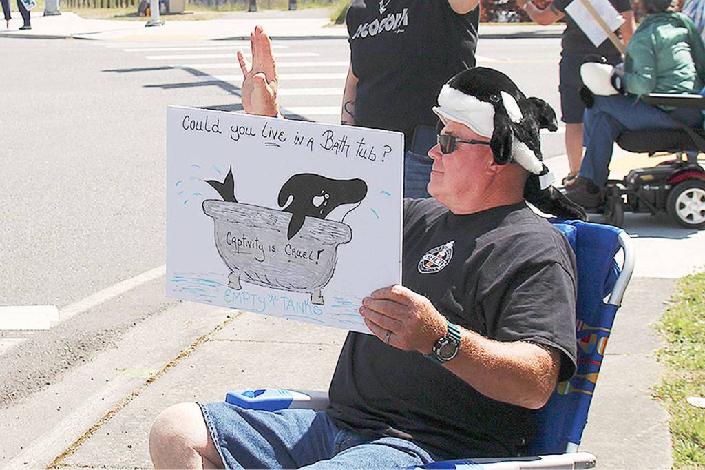 Orca Network not giving up on captured whale