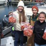 Whidbey’s shrimp season mighty small and plenty busy