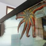 (Photo by Maria Matson/Whidbey News Group)