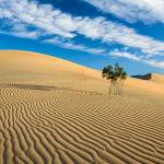 Sandy River by Julie Boyd. This photo was taken at Death Valley on a Shutter Sister trip last spring. Photo provided by Julie Boyd