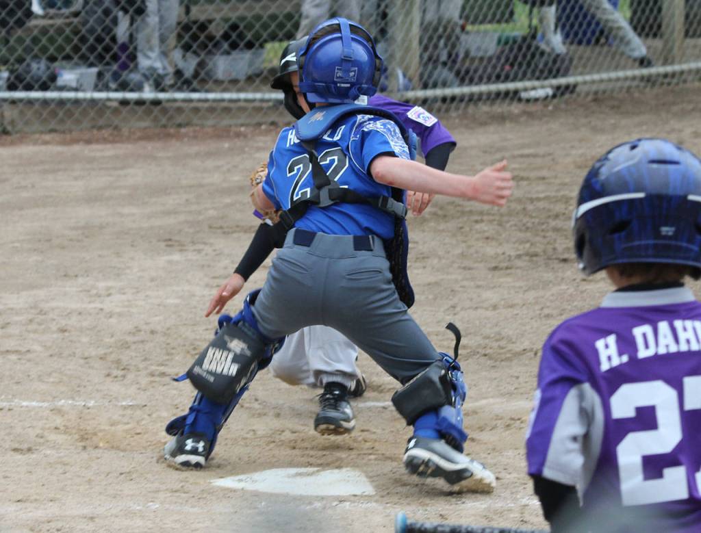 South Whidbey catcher Collier Honold puts the tag on an Anacortes runner trying to score.(Photo by Jim Waller/South Whidbey Record)