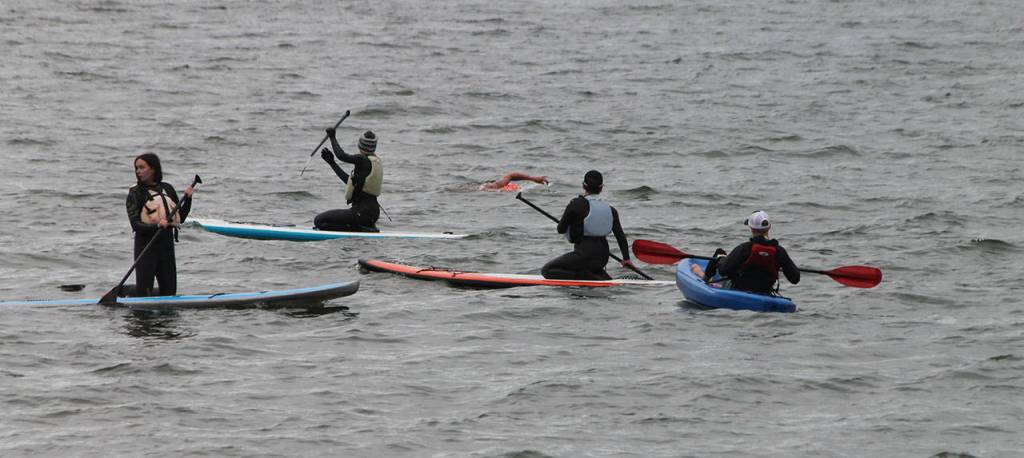 Records fall at Adventure Swim