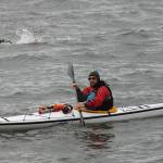 Records fall at Adventure Swim