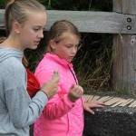 Records fall at Adventure Swim