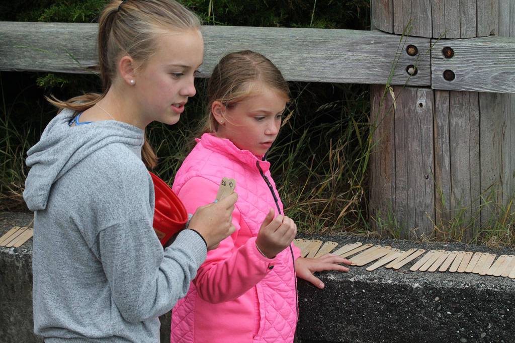 Records fall at Adventure Swim