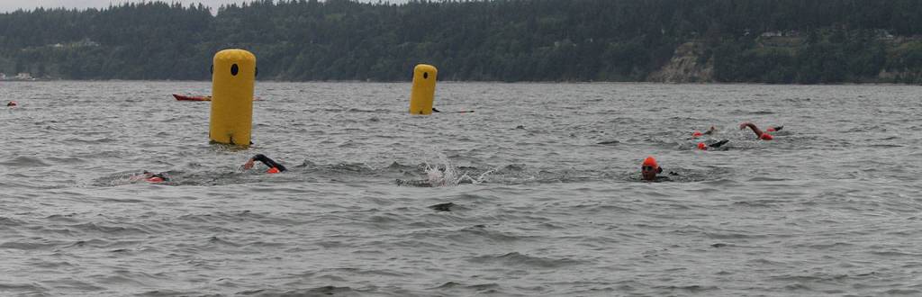 Records fall at Adventure Swim
