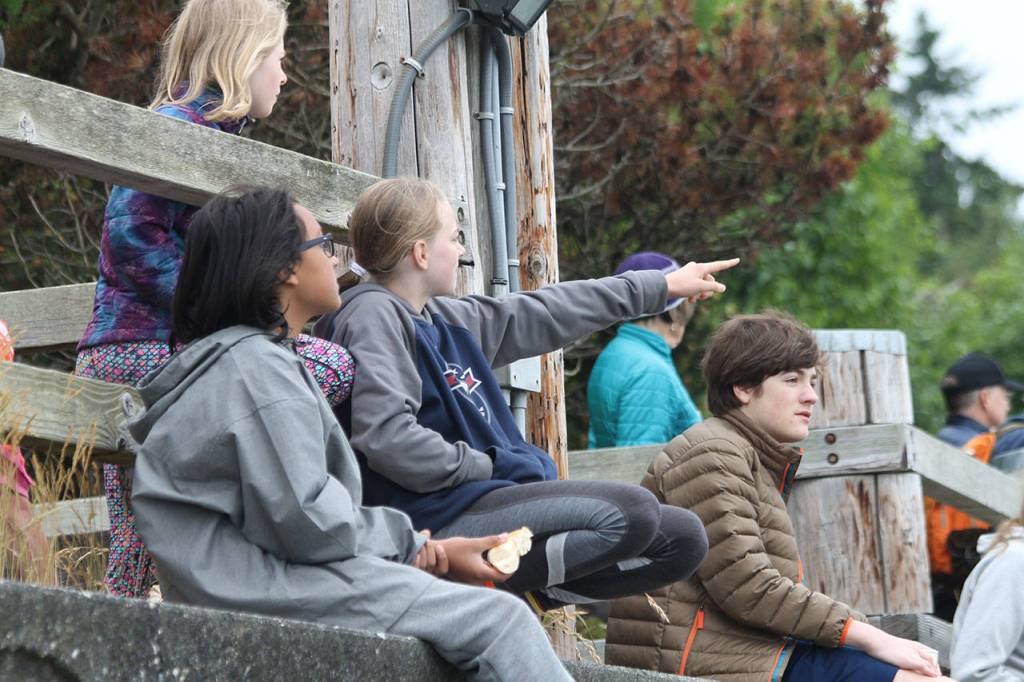 Records fall at Adventure Swim