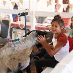 Photo by Laura Guido/Whidbey News-Times                                Kyra Levit, 12, pets Theodore the suffolk hampshire sheep, at the Whidbey Island Fair Thursday. Levit is joined by Lilly Kline, 11.