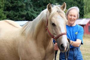 Horseback riding as therapy: New horses at HOPE foundation