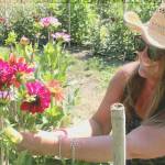 Anderson Farm generational family member Tamara Knapp admires her dahlia fields in late August. Photo by Wendy Leigh / South Whidbey Record