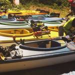 Guides from Whidbey Island Kayaking prepare for bioluminescent glide through Saratoga Passage. Photo by Wendy Leigh/South Whidbey Record
