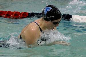 Fall prep preview / Swim