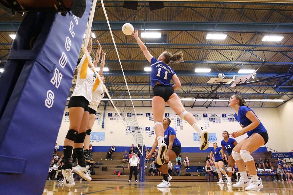 Emma Hodson tips for a point.(Photo by John Fisken)