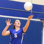 Falcons nipped by Mariner / Volleyball