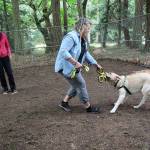 Puppy raiser Lauri Martin and service-dog-in-training Chief practice good behavior skills during the Puppy Olympics Kennel Run. Chief has some fun with the toy, prompting laughs from Martin and trainer Lindy Langum, who timed the first Olympic event at the volunteer appreciation picnic. (Photo by Maria Matson/South Whidbey Record)