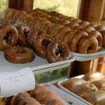 Gluten-free doughnuts are a popular option.