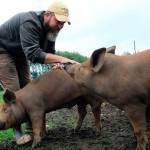 Whidbey Island Grown Week grows with the flow