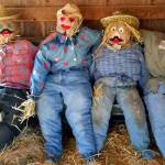 Make a scarecrow this weekend at the Whidbey Island Fairgrounds