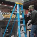 Sean Karamanyah, forefront, helps Whidbey Island Winery owner Greg Osenbach process grapes during 2019 vineyard harvest, Oct. 2019. Photo by Wendy Leigh / South Whidbey Record