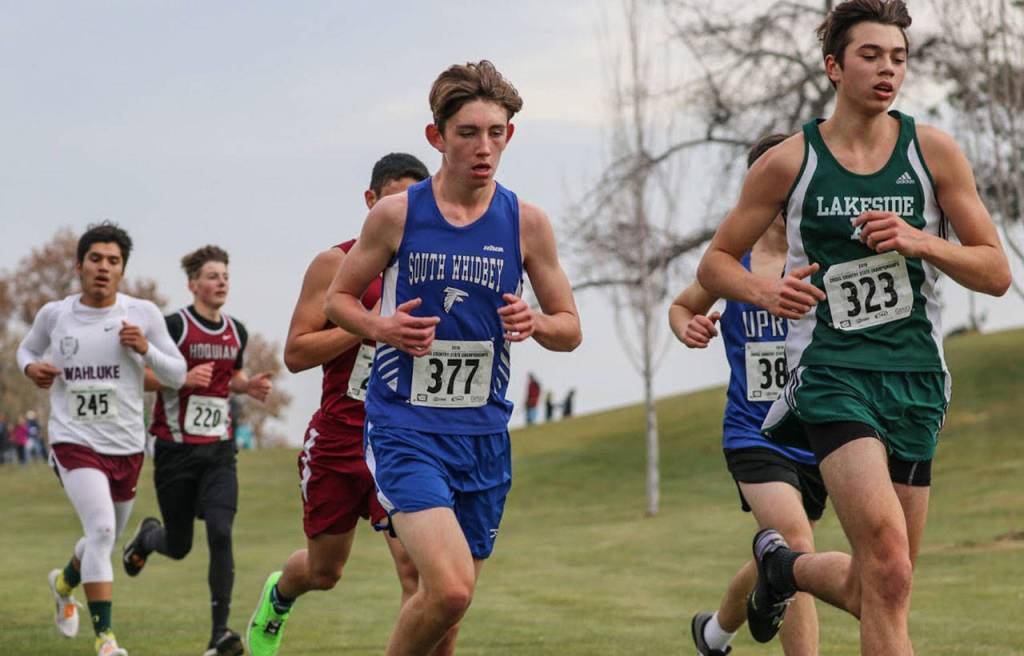 Aidan OBrien (377).(Photo by Matt Simms)