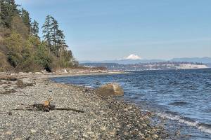 New preserve is born on Whidbey