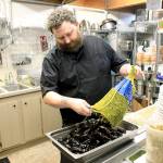 Photo by Kira Erickson/Whidbey News Group                                The Cove chef and co-owner Damien Cortez sifts through a new shipment of mussels from Penn Cove Shellfish.