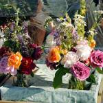 Coalition’s partnership blooms