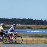 Summer delight: A scenic bike ride and a pie