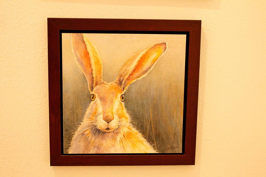 Photo by Kira Erickson/Whidbey News Group                                Painter Ginny ONeill focuses on the faces of the wild in her newest watercolor series.