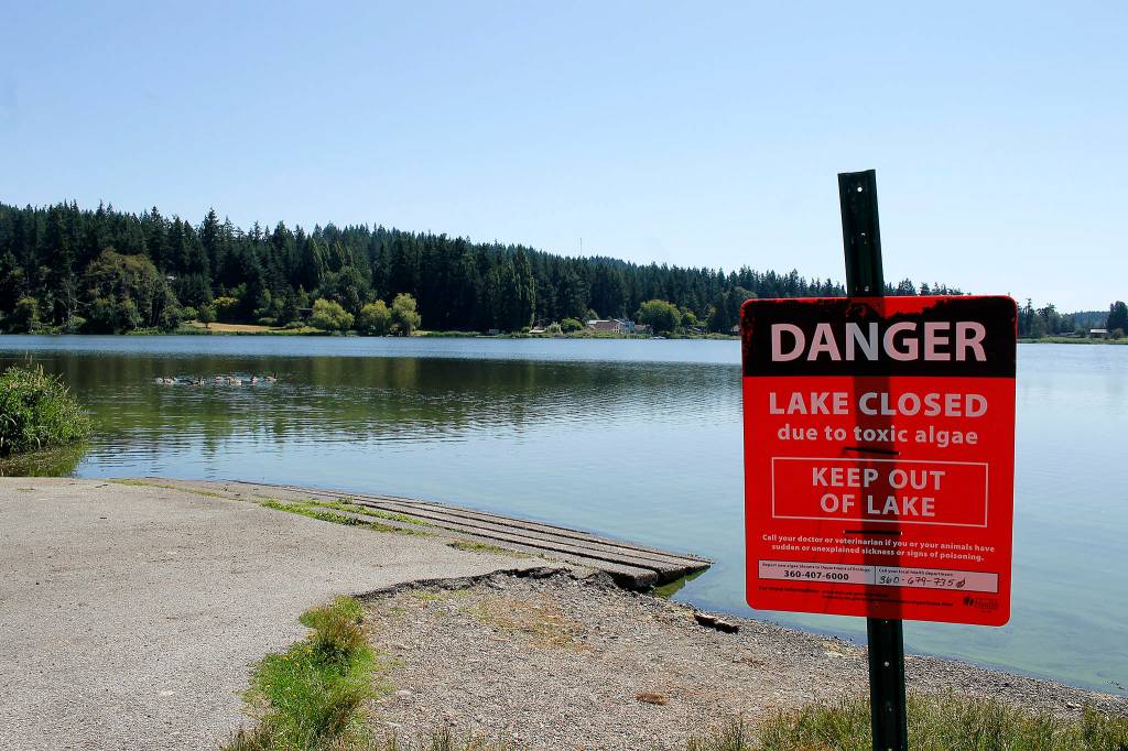 Nanobubbles one idea for ending toxic blooms in lake